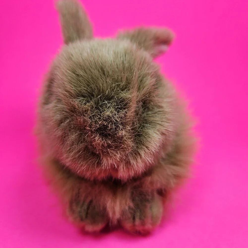 Vintage TY Bunny Rabbit Plush Easter Toy Nibbles Brown Gift 1993 Realistic